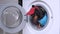 Dog wearing plumber costume and cap peeking out from opened washing machine drum