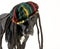 Dog wearing rastafarian hat