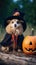 Dog wearing spooky costume for party. Horizontal shot of a happy cute puppy dressed in funny clothes and looking at the