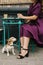 Dog and woman in street cafe. having lunch out. Elegant style purple stylish silk dress