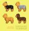 Dog Yorkshire Terrier Coloring Variations Vector Illustration