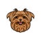 Dog Yorkshire terrier. Smiling cute dog. Dog breed. Yorkshire Terrier portrait. Vector.