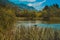 Dog in Zelenci lake