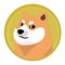 Doge coin crypto currency
