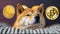 Dogecoin Crypto Bitcoin Altcoin Cute Dog Doge Shiba Inu Currency