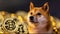 Dogecoin Crypto Bitcoin Altcoin Cute Dog Doge Shiba Inu Currency