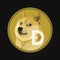 Dogecoin crypto currency digital payment system blockchain concept