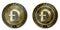 DOGECOIN cryptocurrency coin