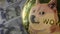 Dogecoin Virtual Currency Commemorative Golden Hottest DOGE Coin Art Collection. Dollars. macro shot