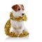 Doggie of breed a Jack Russell Terrier and Christmas tinsel