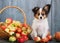 Doggie sits near the basket