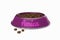 Doggy bowl with name AMICA of dog on white