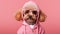 Doggy fashion: Pink Barbie costume on a playful pup