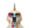 Dogicorn in bow tie and glasses