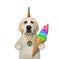 Dogicorn eats colored ice cream