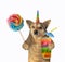 Dogicorn holds juice and lollipop