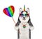 Dogicorn husky holds colored lollipop