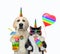 Dogicorn with juice hugs caticorn