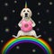 Dogicorn on rainbow eats pink donut