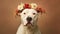 Dogo argentino Dog portrait on orange background. Generative AI
