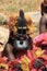 The Dogon tribe funeral masquerade
