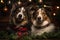 Dogs arranged under mistletoe, capturing the adorable moments of holiday affection between pets
