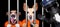Dogs behind bars in jail prison