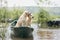 dogs on the boat. Labrador Retriever in nature