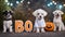 dogs with a boo sign A comical Halloween puppy dressed as a ghost with holes cut out for eyes, sitting next to a sign