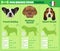 Dogs breed infographics types of dog breeds from France.