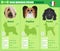 Dogs breed infographics types of dog breeds from France