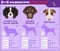 Dogs breed infographics types of dog breeds from United Kingdom.