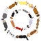 Dogs breed top view circle set