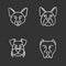 Dogs breeds chalk icons set