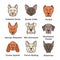 Dogs breeds color icons set