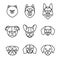 Dogs breeds linear icon set. Pomeranian spitz, Pug, Husky, Dachshund, Beagle, German Shepherd, Labrador, French, English