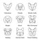 Dogs breeds linear icons set