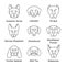 Dogs breeds linear icons set