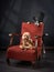 Dogs in the chair. Retro picture with pets. border collie and poodle on a red chair