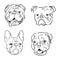 Dogs characters doodle sticker english bulldog. Funny animals isolated set