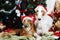 Dogs with christmas greetings