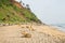 Dogs at the cliff of Varkala along the coast with volcanic stones, India