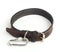 Dogs collar