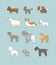 Dogs collection. Cute cartoon puppies of different breeds - Vector