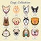 dogs collection, vector