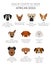 Dogs by country of origin. African dog breeds. Infographic template