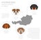 Dogs by country of origin. Austrian dog breeds. Infographic temp