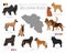 Dogs by country of origin. Belgian dog breeds. Shepherds, hunting, herding, toy, working and service dogs  set