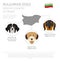 Dogs by country of origin. Bulgarian dog breeds. Infographic template