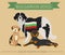 Dogs by country of origin. Bulgarian dog breeds. Infographic template